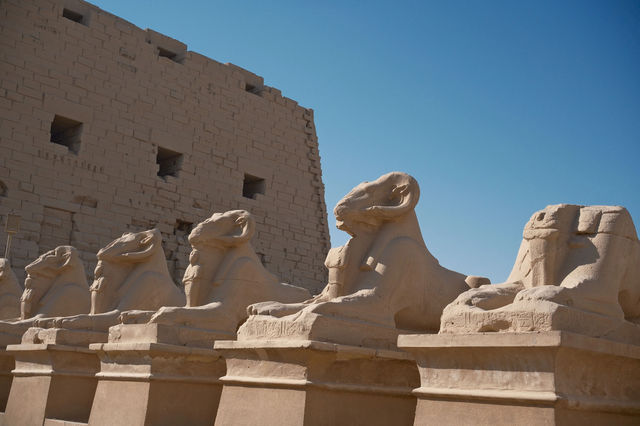 樂蜀｜卡納克神廟 獻給太陽神阿蒙 