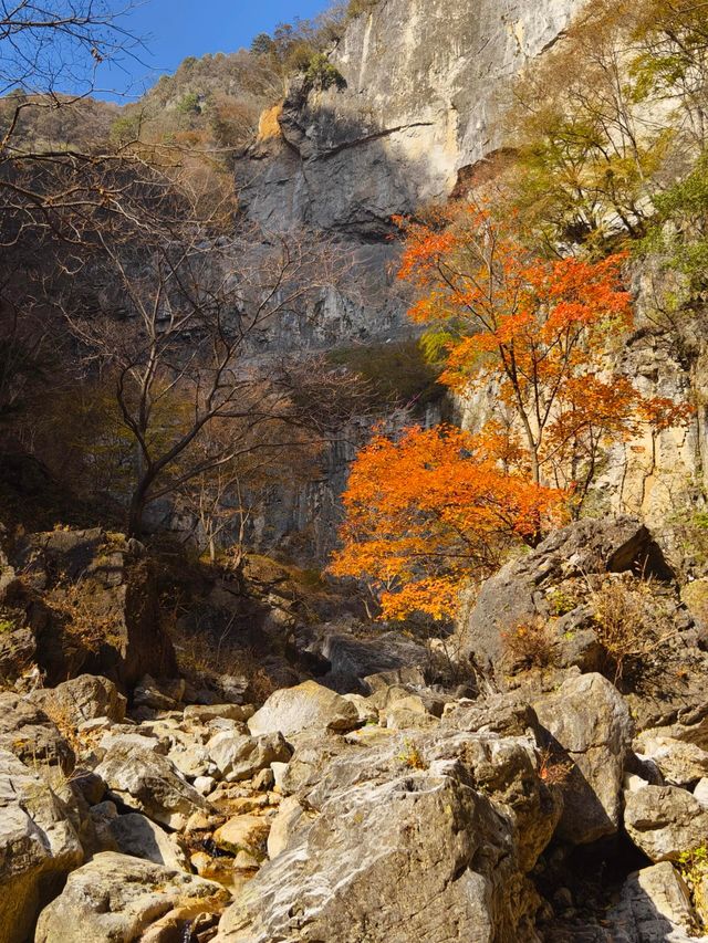 南太行秋日徒步