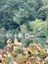 浣花溪公園：在詩箋竹影裡打撈杜甫的漣漪