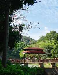 潮汕隱藏的億年地質奇觀!青嵐怪臼谷徒步全攻略