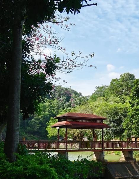 潮汕隱藏的億年地質奇觀!青嵐怪臼谷徒步全攻略 潮汕隱藏的億年地質奇觀!青嵐怪臼谷徒步全攻略