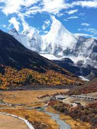 終於有4k實況原畫功能啦