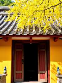 甘肅絕美秘境發現隴版小九寨,人少景靚唔使驚!