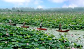 Water Town Treasures, the Most Beautiful Nan County—A Poetic Homeland Where Time Slows Down
