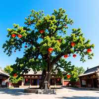 臨汾市5天深度旅遊攻略