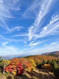 別再去香山了！北京免費紅葉秘境絕美