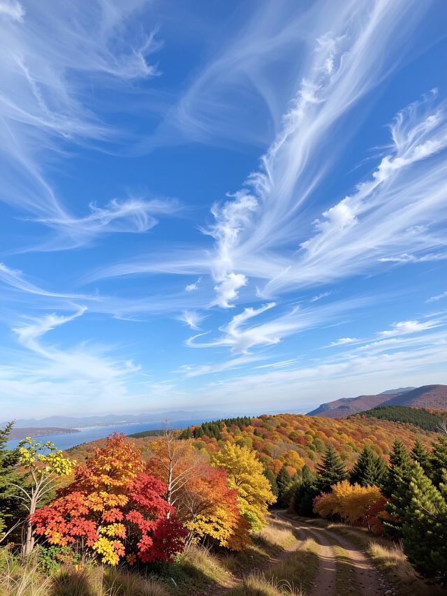 別再去香山了！北京免費紅葉秘境絕美