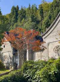 青木川秋假雙重福利