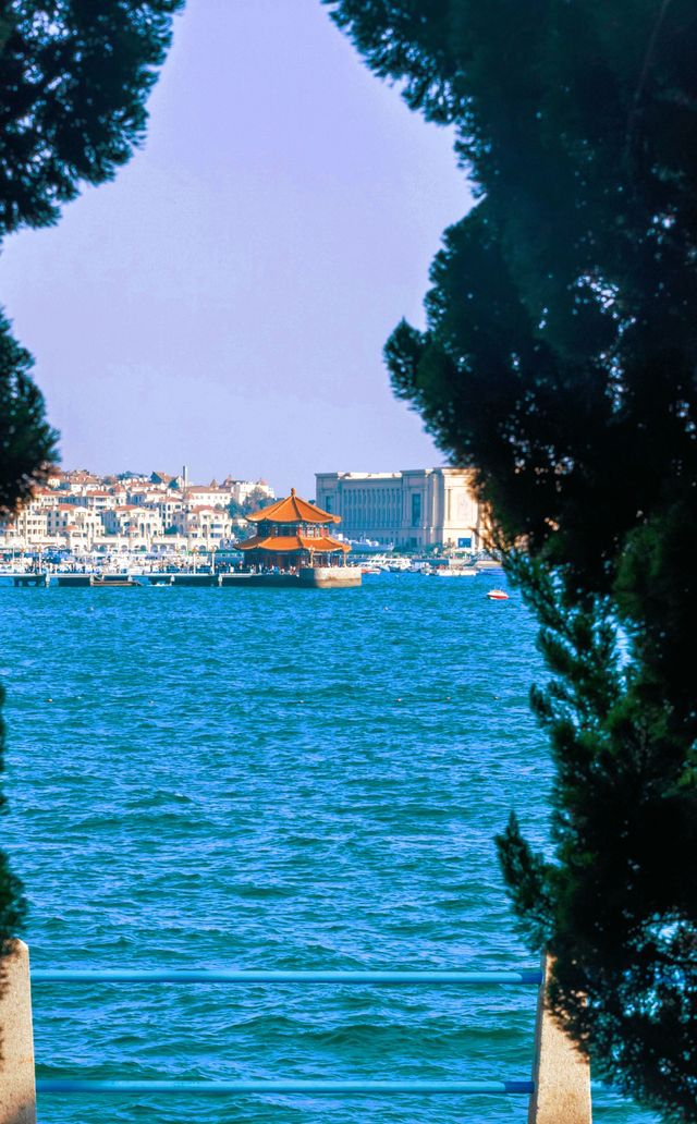 11月旅行淡季青島是人間理想保姆級攻略