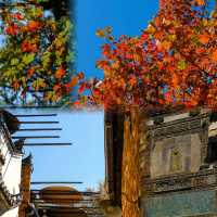 絕美秋色！齊雲山一日精華遊攻略 