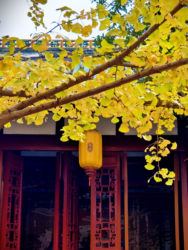 為了這扇秋日限定的窗，我專門去了趟崇州