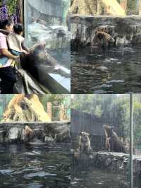 寧波出發2天1晚親子遊！把快樂焊在娃臉上