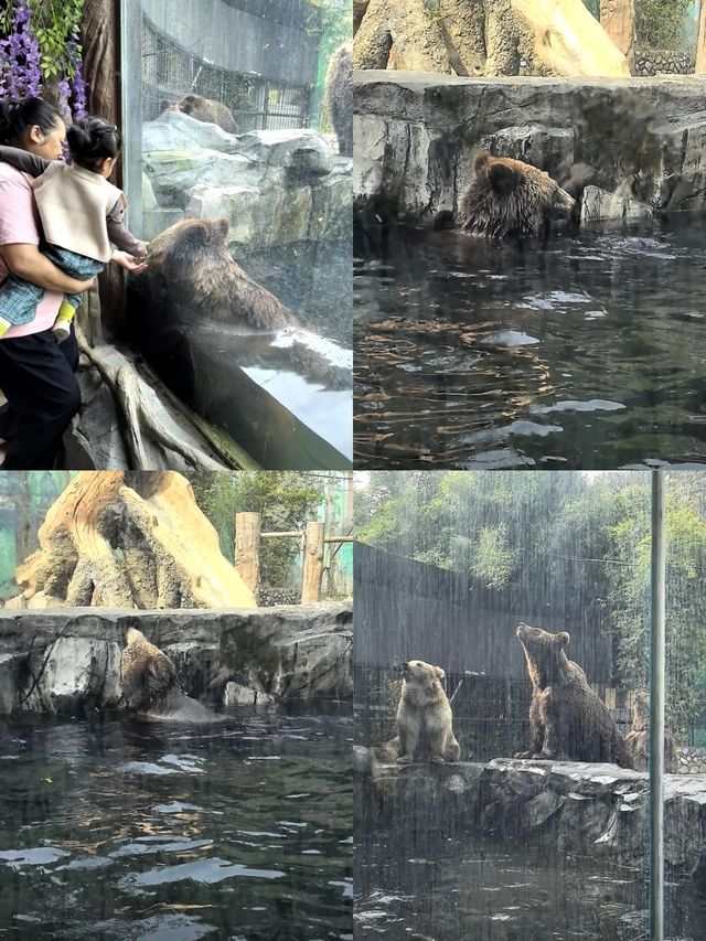 寧波出發2天1晚親子遊！把快樂焊在娃臉上