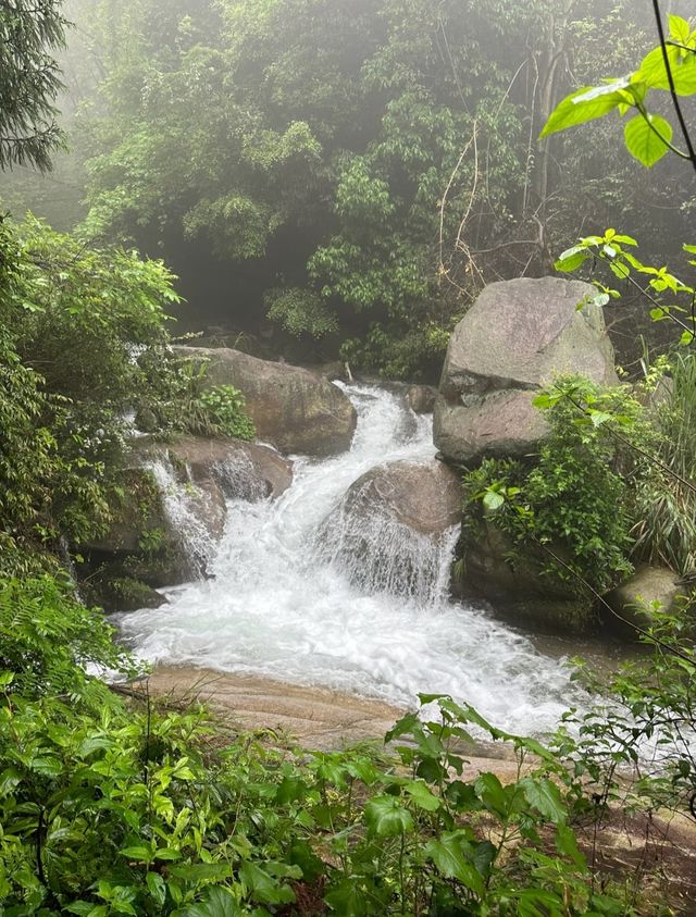 避暑固原：在涇源老龍潭邂逅18度的夏天