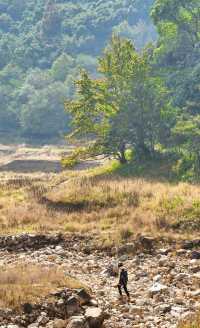 上海3h直達!初冬闖入畫龍村,在浙東古道邂逅瀑布梯田與治癒