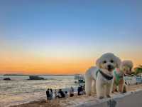 深圳 - 釜山同款海邊膠囊小火車