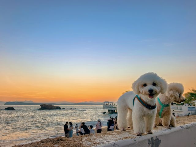 深圳 - 釜山同款海邊膠囊小火車