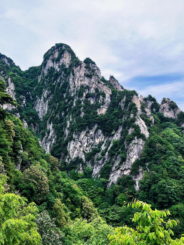 雲海之巔，心之所向：玉皇頂療癒之旅