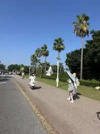 廈門11月15日現況，誰懂今天的天氣含金量！！