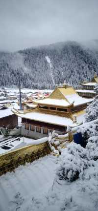 滇藏邊界的神隱之旅怒江丙中洛旅遊攻略