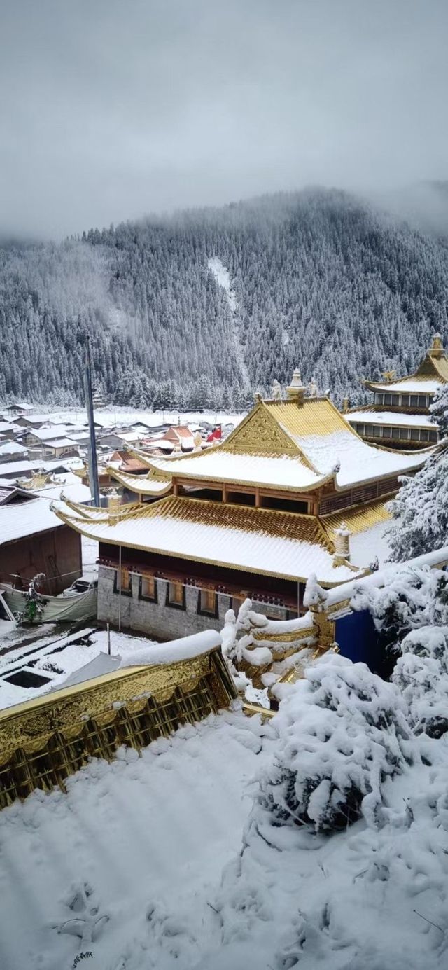 滇藏邊界的神隱之旅怒江丙中洛旅遊攻略