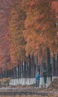 接下來的韶關,將是上帝打翻的調色盤!