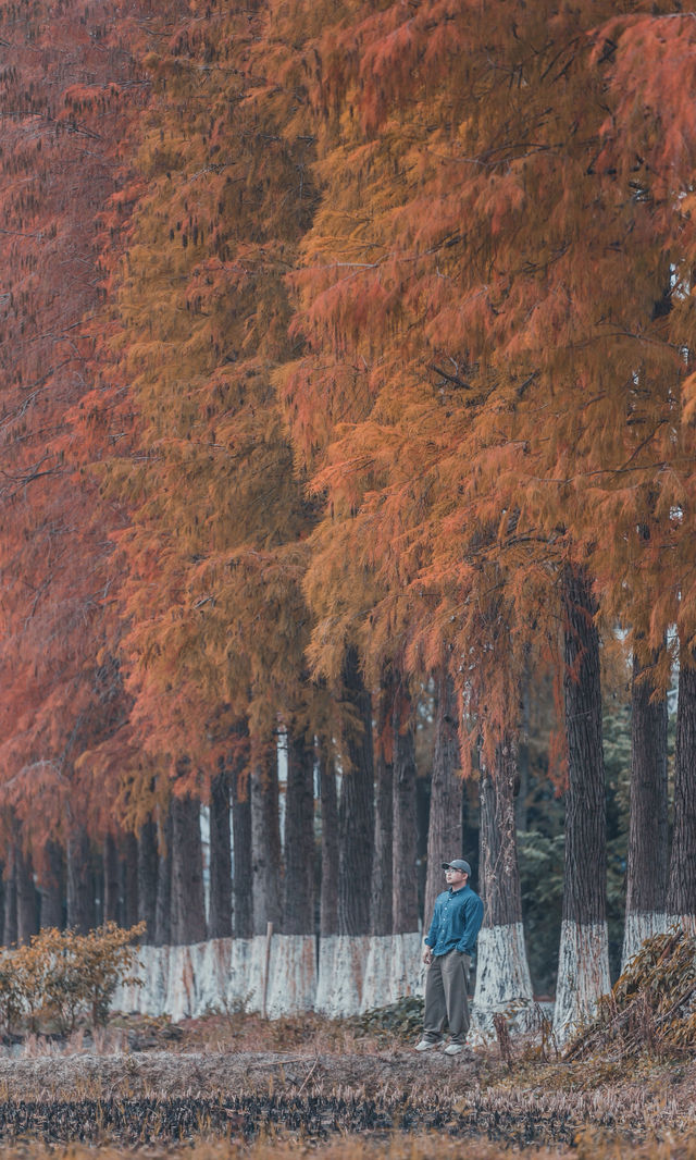 接下來的韶關,將是上帝打翻的調色盤! 接下來的韶關,將是上帝打翻的調色盤!