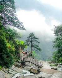 江西宜春明月山｜現實版人間仙境絕美雲海攻略