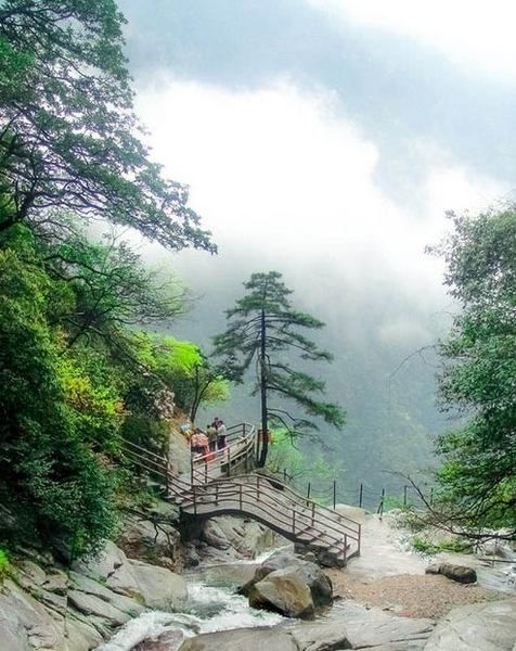 江西宜春明月山｜現實版人間仙境絕美雲海攻略