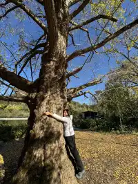 桂林山水,和我正在變得清晰的生命(二)