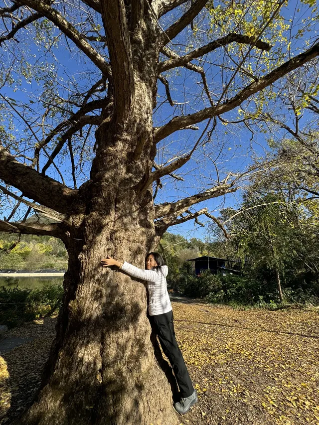 桂林山水,和我正在變得清晰的生命(二) 桂林山水,和我正在變得清晰的生命(二)