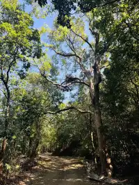 每週一山｜藏在江門的治癒系神山！