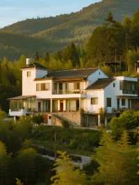 秋日遛娃天花板！莫干山紅楓秘境親子遊攻略