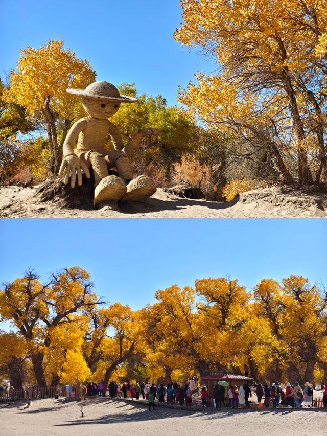 額濟納胡楊林賞秋攻略三天打卡大漠金黃世界！