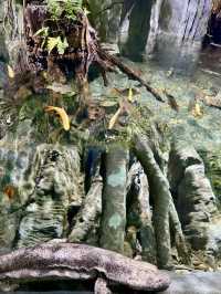 不愧是上海公園美到「未來感」拉滿