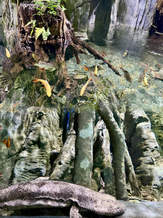 不愧是上海公園美到「未來感」拉滿 不愧是上海公園美到「未來感」拉滿