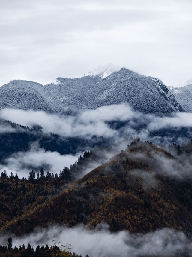 有美隱宿|闖入九寨溝的冬日冰雪詩畫境 有美隱宿|闖入九寨溝的冬日冰雪詩畫境