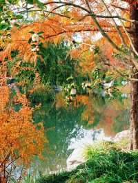 上海世博文化公園裡隱藏的寶藏園林!申園也太仙了叭~