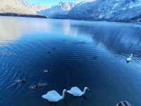 絕美仙境哈爾施塔特的冬日童話世界