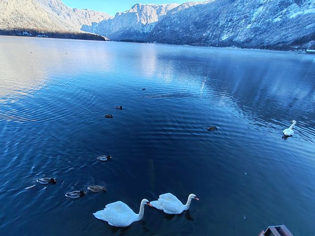 絕美仙境哈爾施塔特的冬日童話世界 絕美仙境哈爾施塔特的冬日童話世界