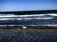 冬遊西北—青甘環線冬季六日遊察爾汗鹽湖