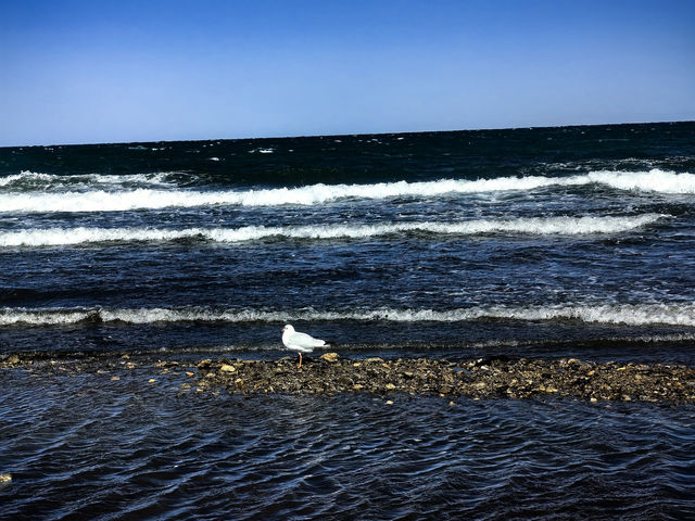 冬遊西北—青甘環線冬季六日遊察爾汗鹽湖