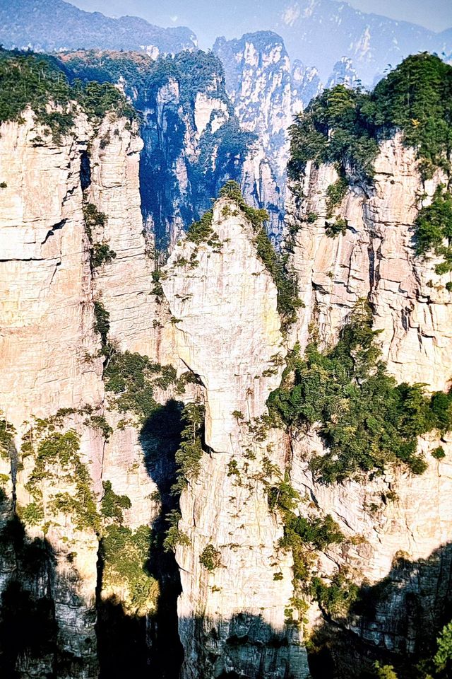 秋染武陵源,張家界的美,是上帝遺落的油畫! 秋染武陵源,張家界的美,是上帝遺落的油畫!