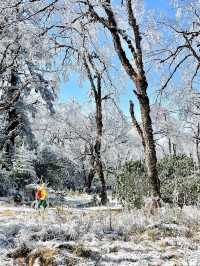 霧淞仙境美如畫
