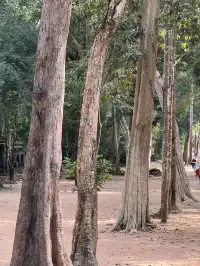 慢行吳哥 深入柬埔寨