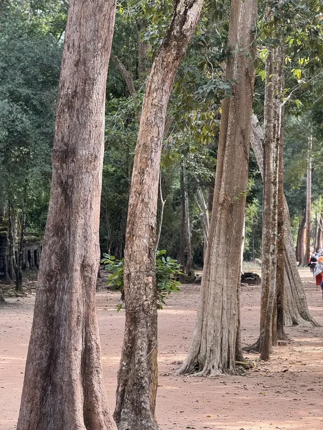 慢行吳哥 深入柬埔寨 慢行吳哥 深入柬埔寨