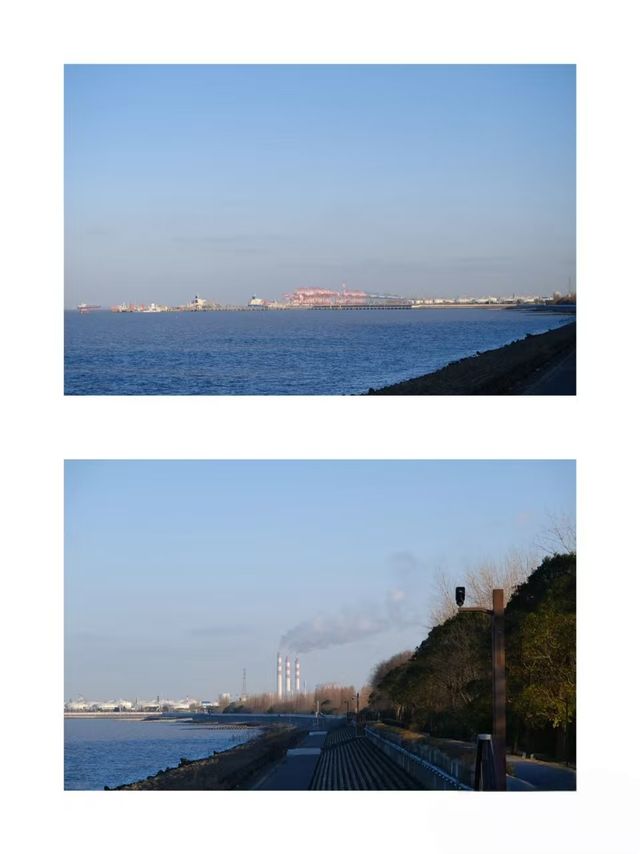 冬季濱海國家森林公園藏在山海間的冬日童話