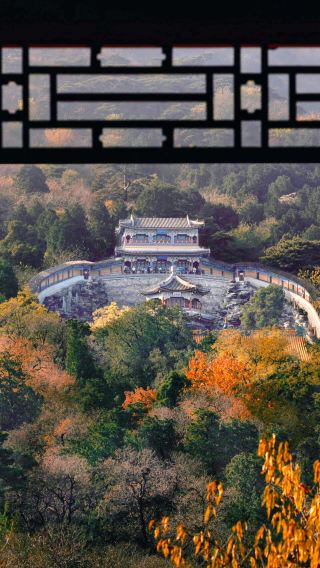 殘紅抱寺,亭望秋