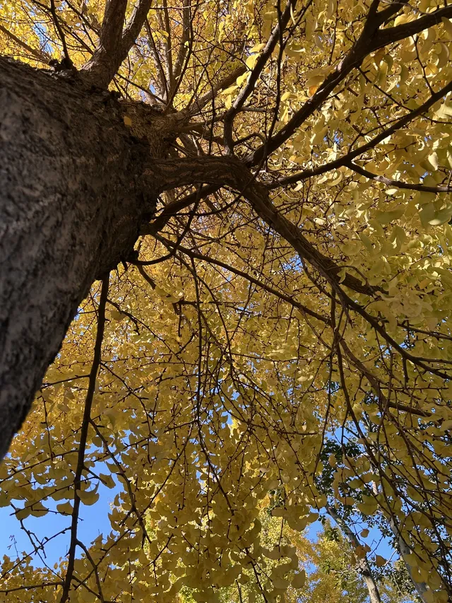 德陽｜石刻公園