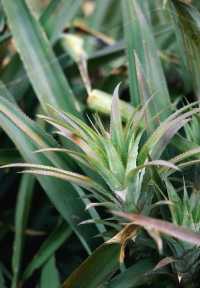 被問爆的南端海景民宿,趕海看日出太絕